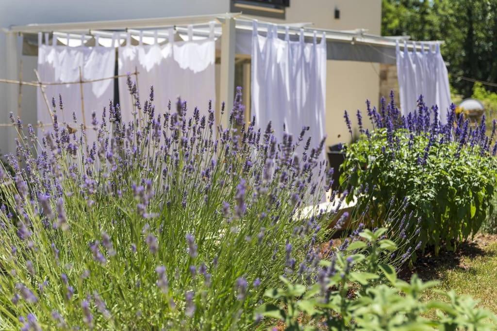 Luxury Villa Cetiri Hrasta Pićan Kültér fotó