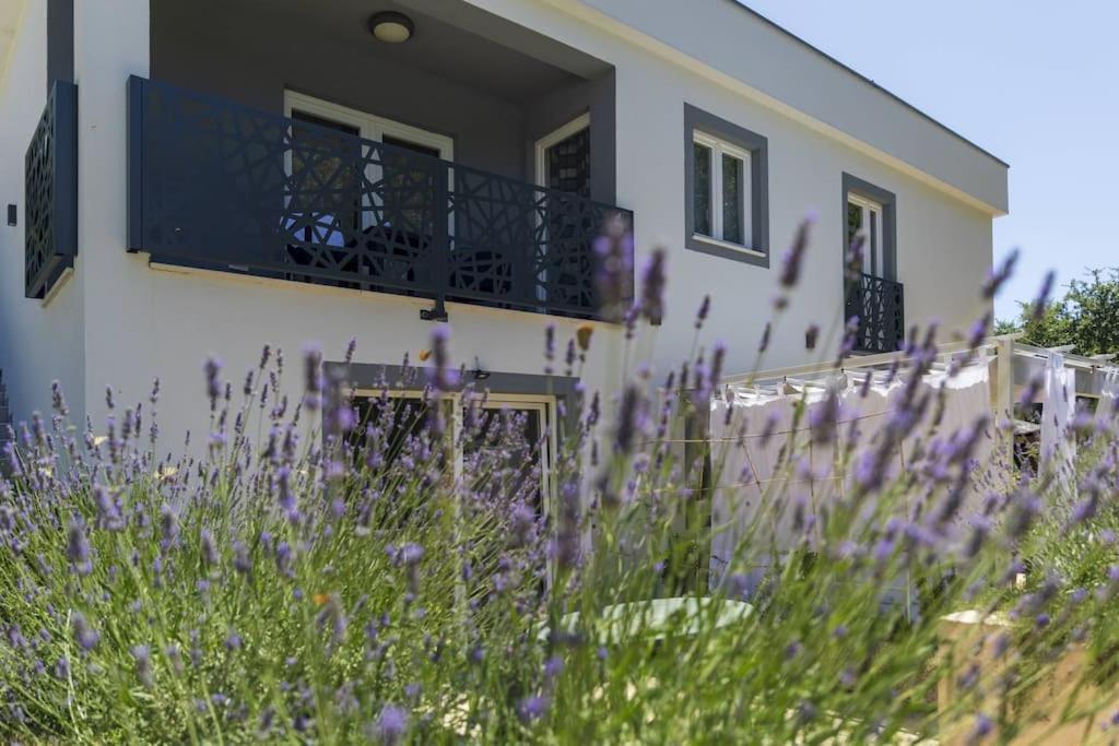Luxury Villa Cetiri Hrasta Pićan Kültér fotó