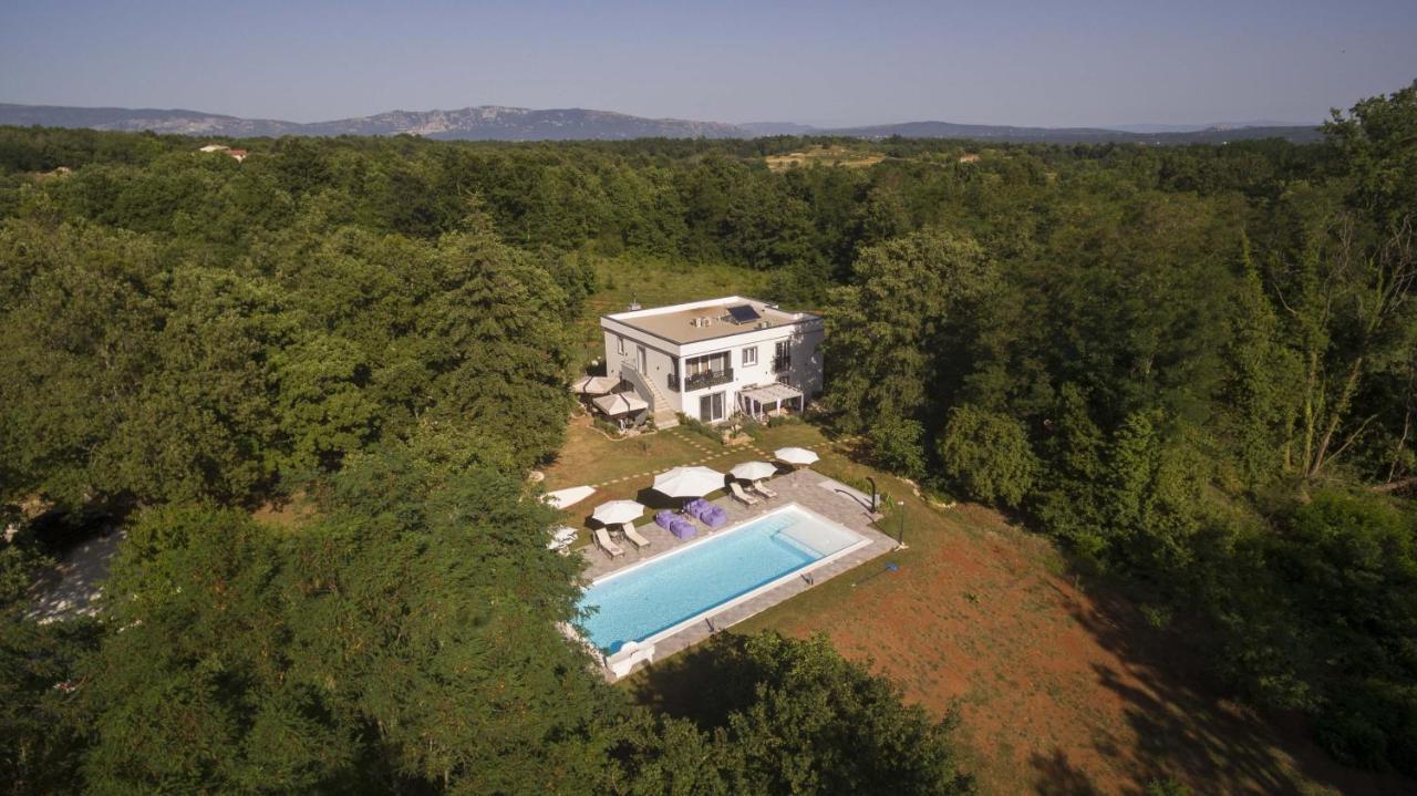 Luxury Villa Cetiri Hrasta Pićan Kültér fotó